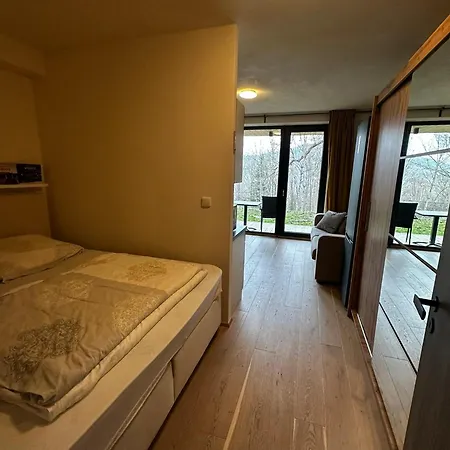 Jasan Spot شقة Železná Ruda